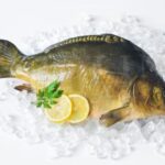 Zalecenia w postępowaniu z żywymi rybami przeznaczonymi do sprzedaży detalicznej